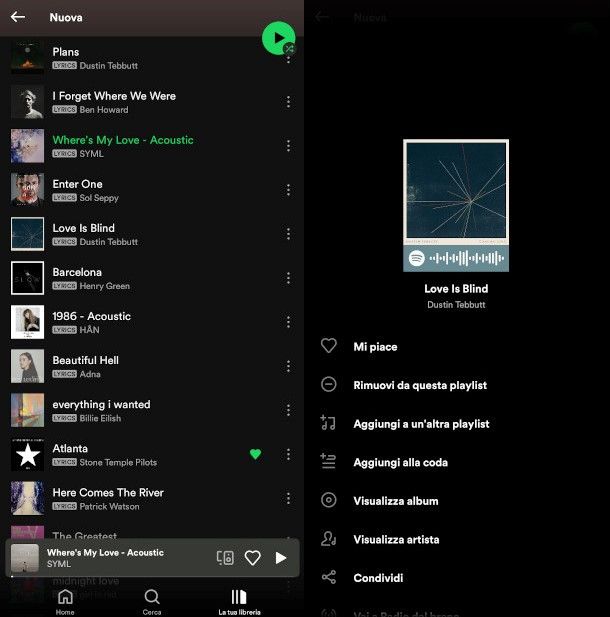 eliminare canzone da Spotify app