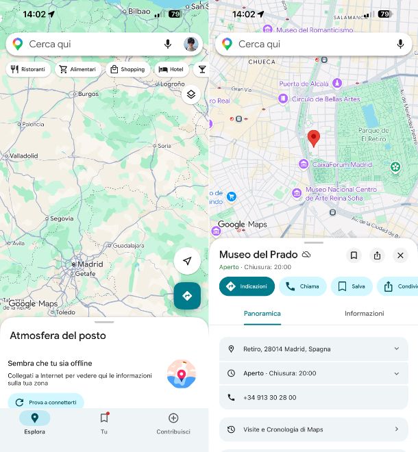 Google Maps iOS