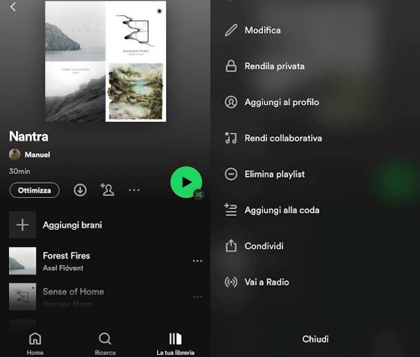 eliminazione playlist da app Spotify iOS