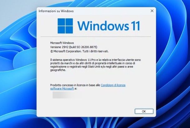 Come vedere versione Windows PC