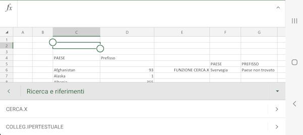 Funzione CERCAX su Excel