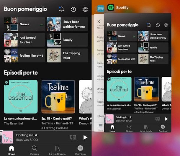 interruzione forzata Spotify iPhone