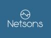 Recensione Netsons