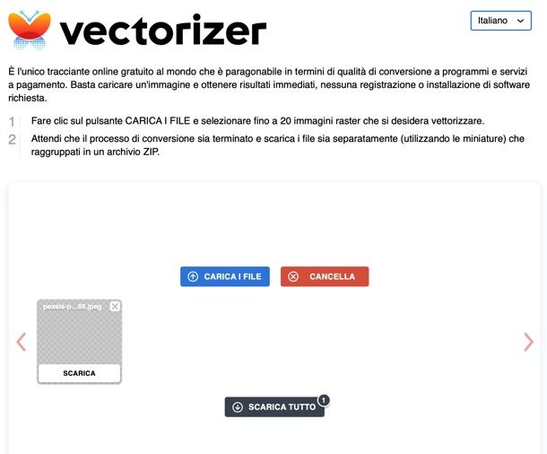 Vectorizer