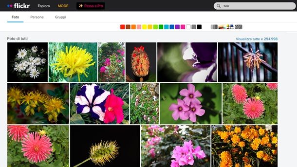 Flickr foto gratis