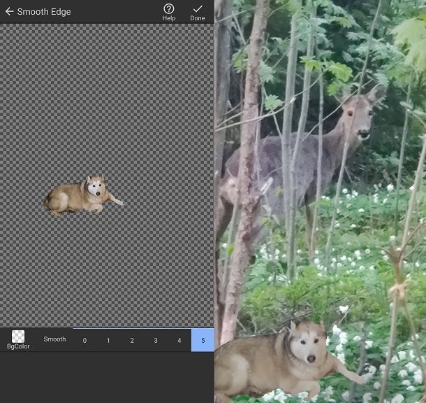 Ritagliare e scontornare un'immagine con Photolayers — Superimpose