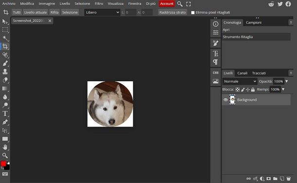 Ritagliare foto online con il servizio Photopea online