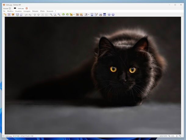 XnView MP