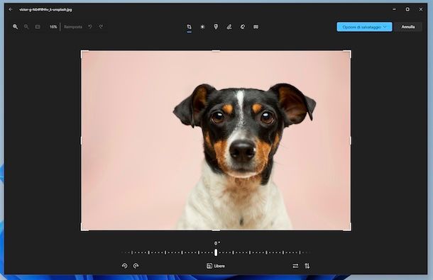 Foto Windows 11