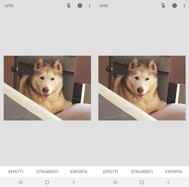 Modificare file JPG con Snapseed