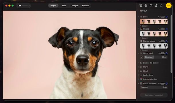 Foto macOS
