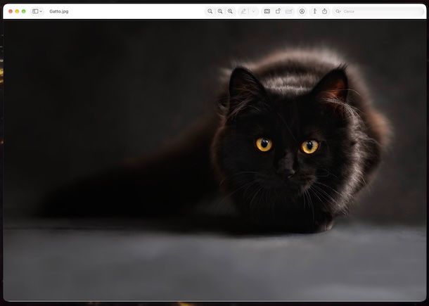 Anteprima macOS