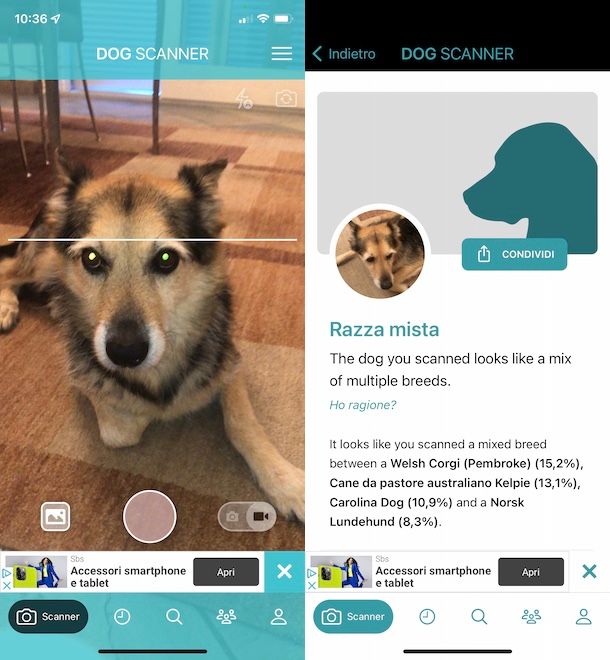 Dog Scanner