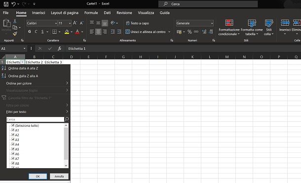 Come inserire più filtri su Excel