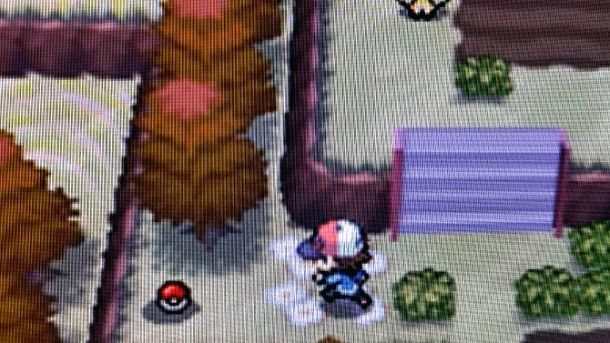 Come trovare Affilodente Pokémon Bianco Nero