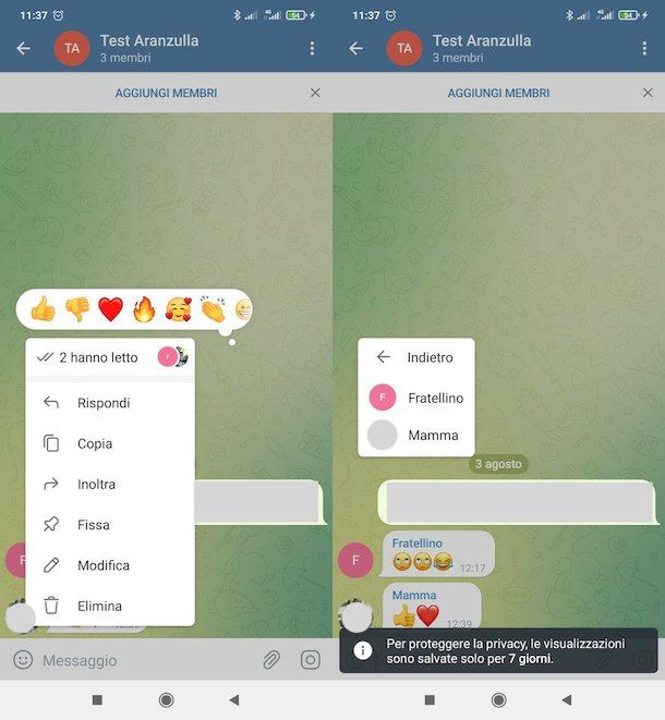 Vedere chi ha letto messaggi su gruppo Telegram