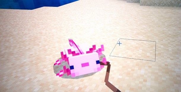 Axolotl Minecraft al guinzaglio
