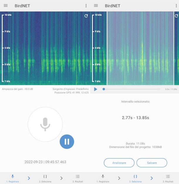 analisi audio verso uccello app BirdNet