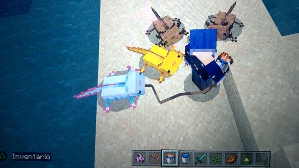 allevamento axolotl Minecraft