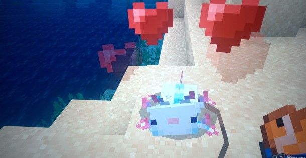 axolotl addomesticato Minecraft
