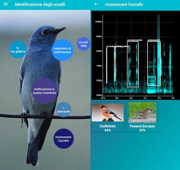 schermate app Bird Identifier