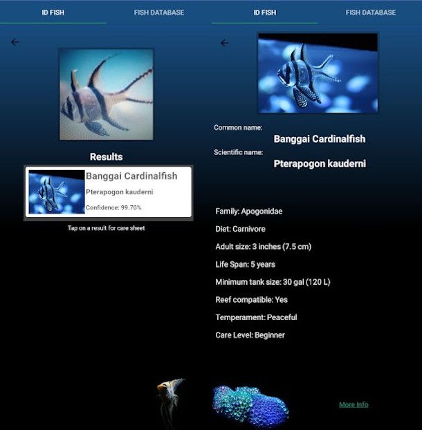 scheda informativa pesce app FishYI