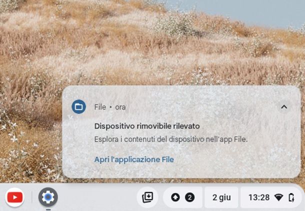 Come leggere scheda SD su PC: Linux e Chromebook