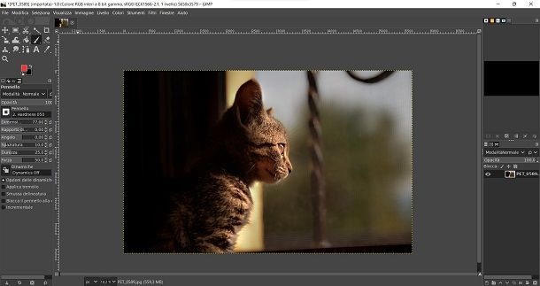 Come aprire RAW con GIMP