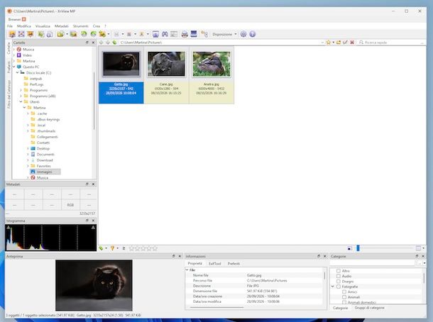 XnView MP