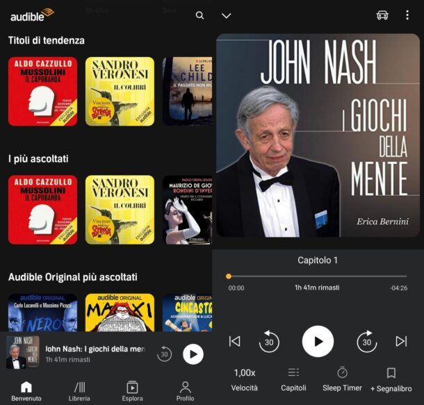 Audible app