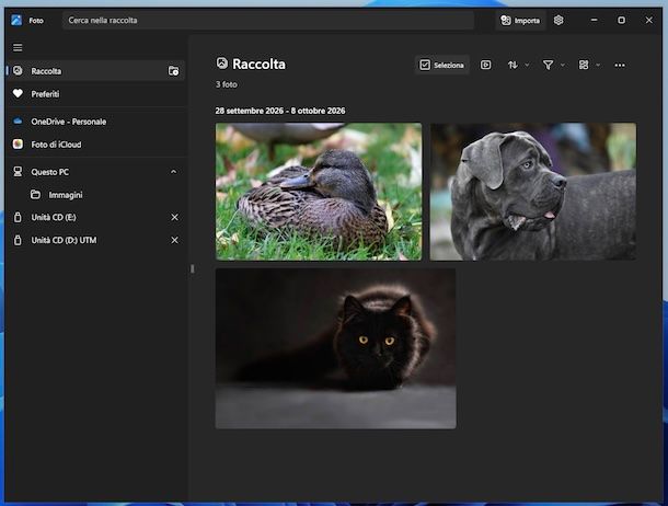 Foto di Microsoft