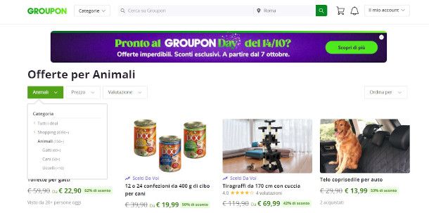 Offerte  e sconti pazzeschi selezionati a mano