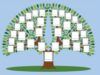 Come fare un albero genealogico al computer