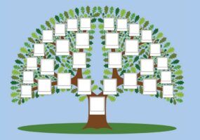 Come fare un albero genealogico al computer