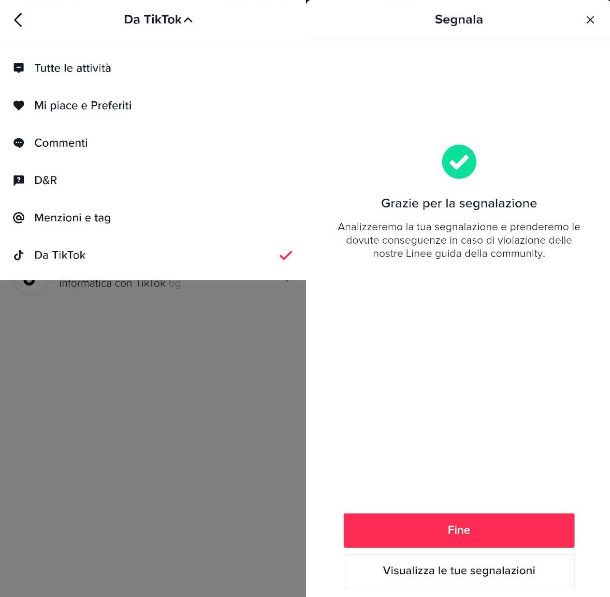 Segnalazioni su TikTok
