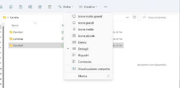 impostazioni visualizzazione cartelle su Windows 11