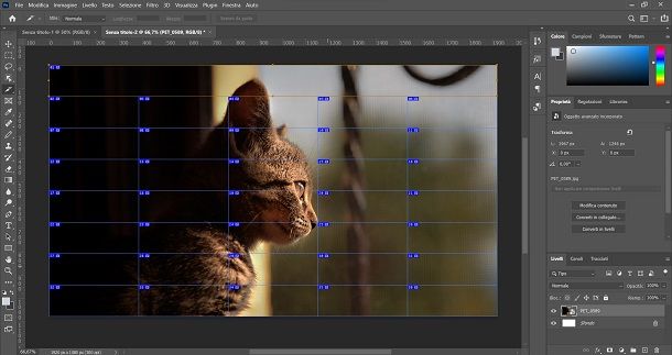 Photoshop calendario