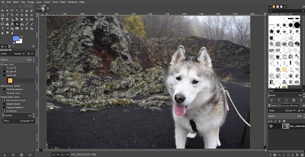 Altri validi programmi per aggiungere scritte alle foto