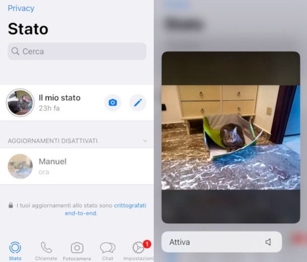 riattivazione aggiornamenti di stato di un contatto da WhatsApp per iPhone