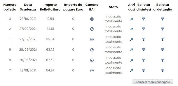 download bolletta Servizio Elettrico Nazionale da sito