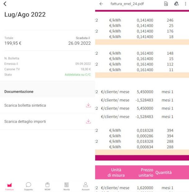 documento di dettaglio dei consumi su app Enel Energia