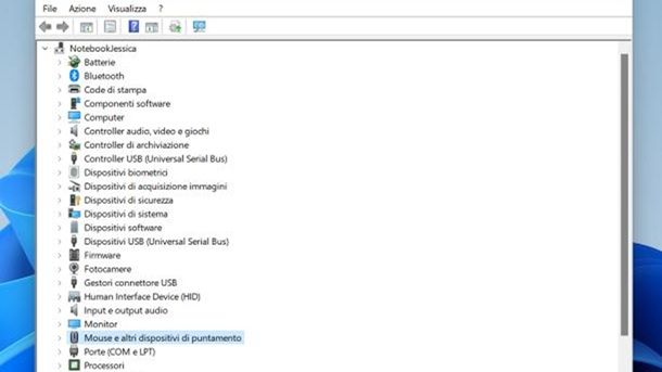 Gestione dispositivi Windows 11