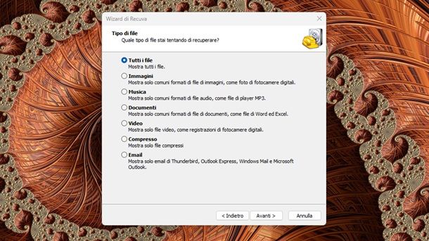 Tipologia file recuperabili Recuva