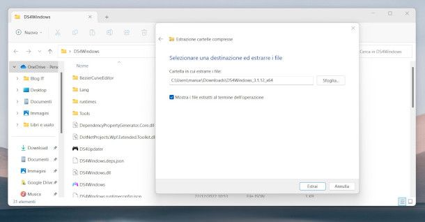 estrazione eseguibile DS4Windows
