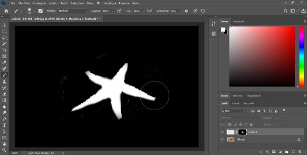 Come rendere trasparente un'immagine con Photoshop