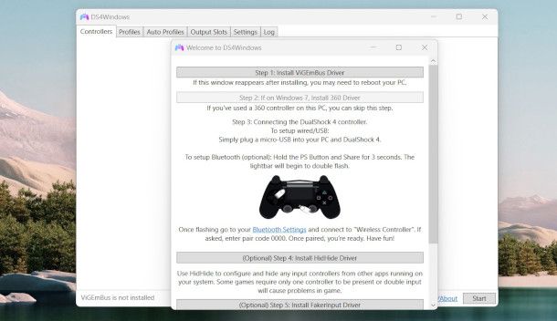 finestra di installazione driver per DS4Windows