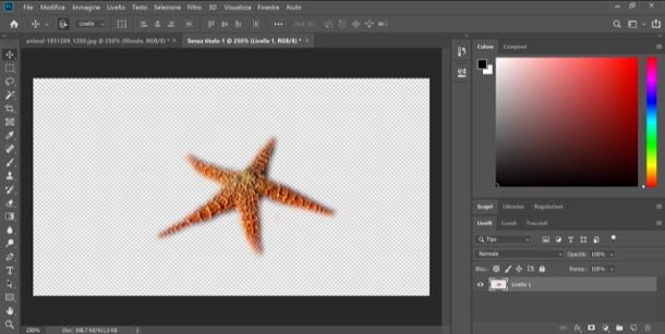 Come rendere trasparente un'immagine con Photoshop