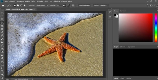 Come rendere trasparente un'immagine con Photoshop