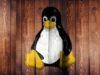 Migliori distribuzioni Linux per chi usa Mac