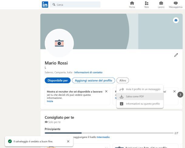 LinkedIn CV PDF